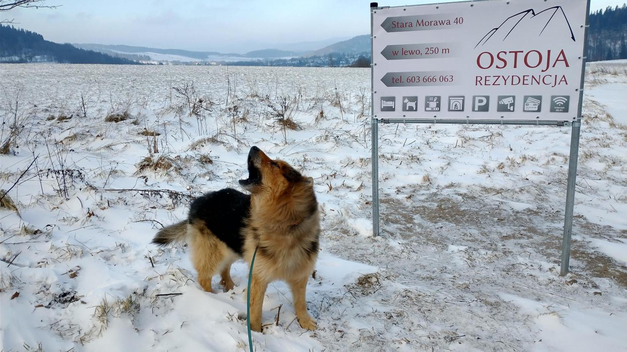 Rezydencja Ostoja Stronie Śląskie Екстериор снимка